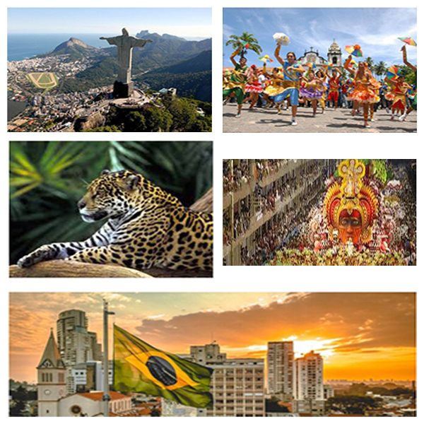 India - Brazil Business and Cultural Council - About Brazil