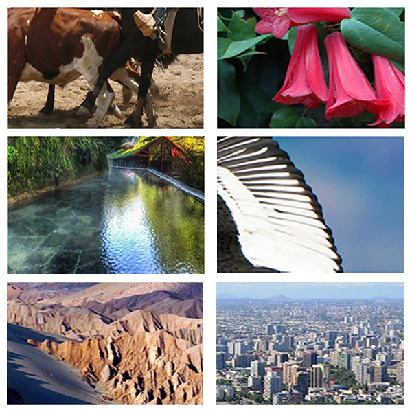 India Chile Business and Cultural Council - About Chile