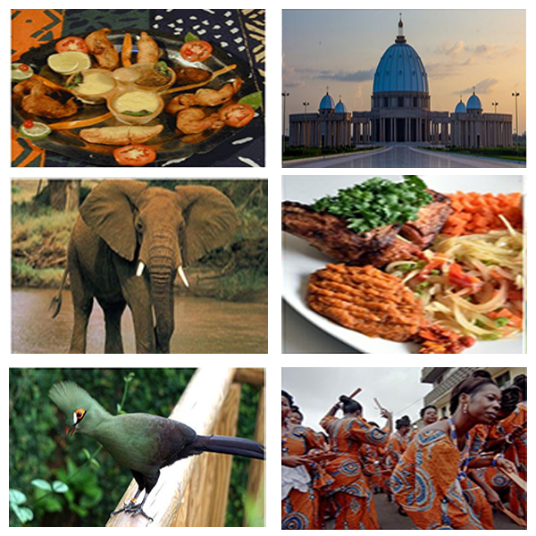 India - Côte d'Ivoire Business and Cultural Council - About Côte d'Ivoire