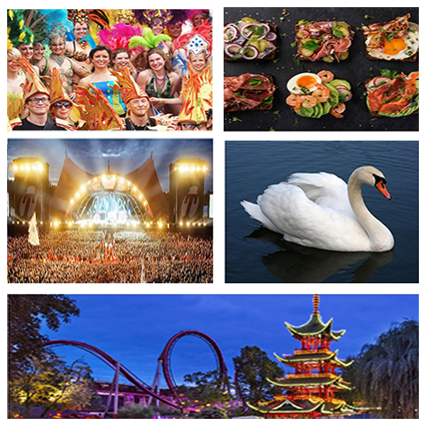 India - Denmark Business and Cultural Council - About Denmark