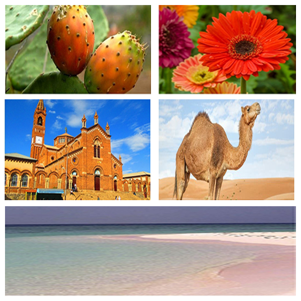 India - Eritrea Business and Cultural Council - About Eritrea