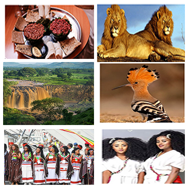 India - Ethiopia Business and Cultural Council - About Ethiopia