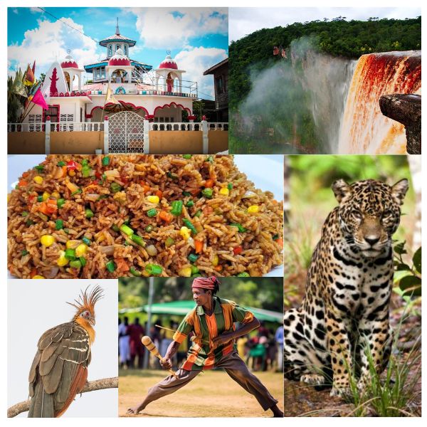 India - Guyana Business and Cultural Council - About Guyana