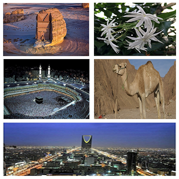 India - Mali Business and Cultural Council - About Mali