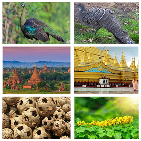 India - Myanmar Business and Cultural Council - About Myanmar