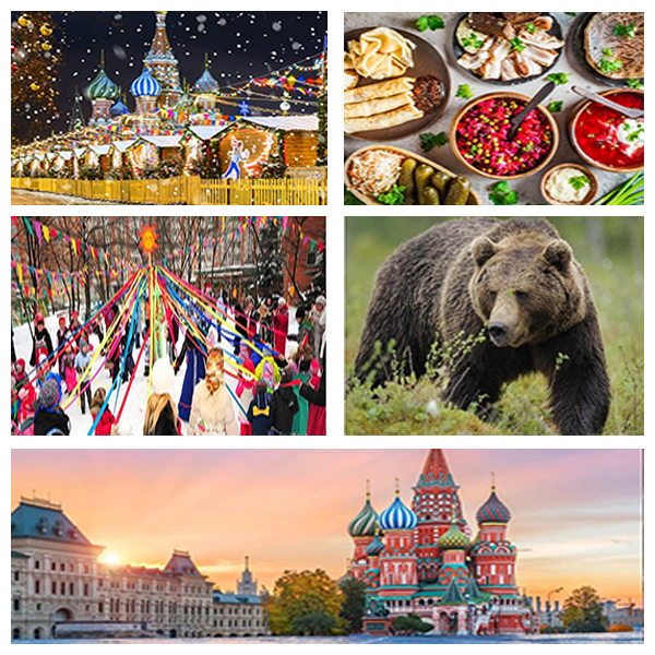 India - Namibia Business and Cultural Council - About Namibia