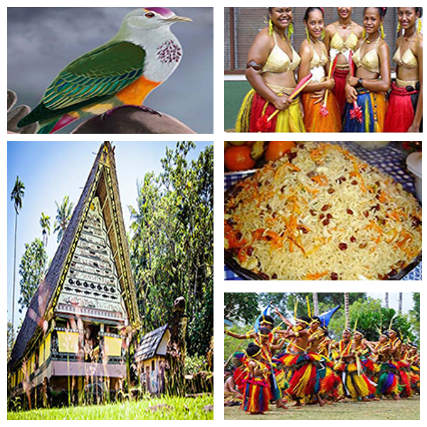 India - Palau Business and Cultural Council - About Palau
