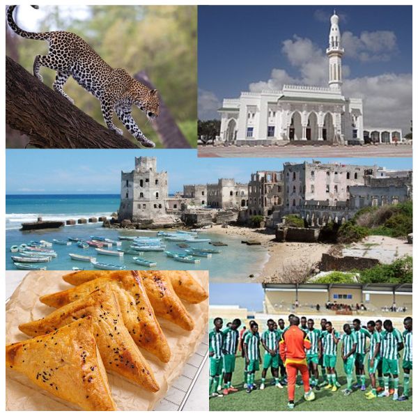 India - Somalia Business and Cultural Council - About Somalia