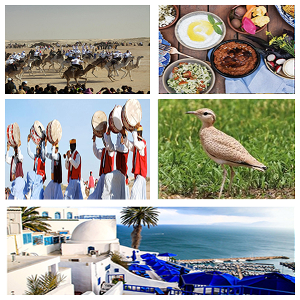 India - Tunisia Business and Cultural Council - About Tunisia