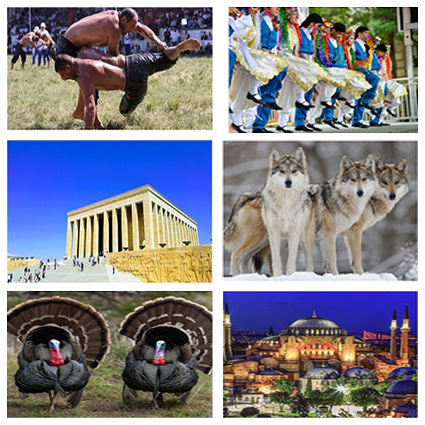 India - Turkey Business and Cultural Council - About Turkey