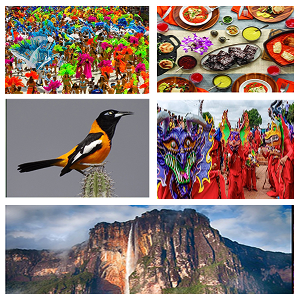 India - Venezuela Business and Cultural Council - About Venezuela