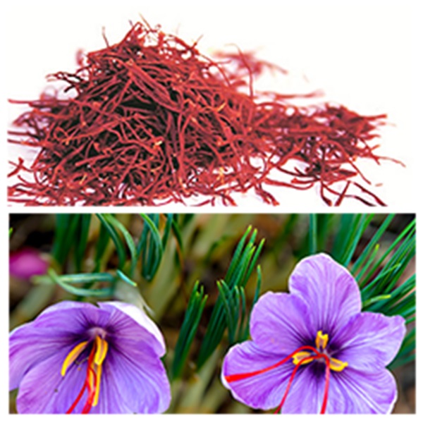 India - Afghanistan Business and Cultural Council - Business Opportunities In Afghanistan