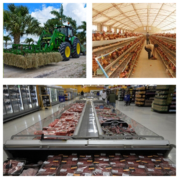 India - Argentina Business and Cultural Council - Business Opportunities In Argentina