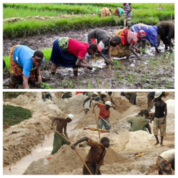 India Burundi Business and Cultural Council - Business Opportunities in Burundi