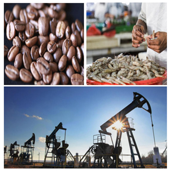 India - Ecuador Business and Cultural Council - Business Opportunities in Ecuador