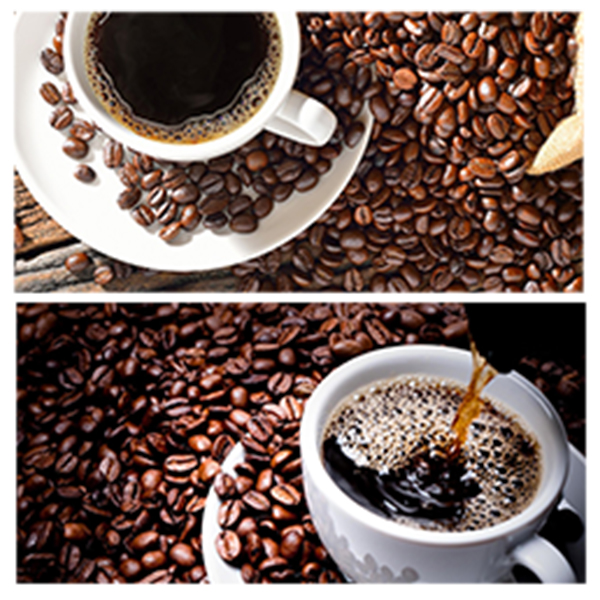 India - Ethiopia Business and Cultural Council - Business Opportunities in Ethiopia