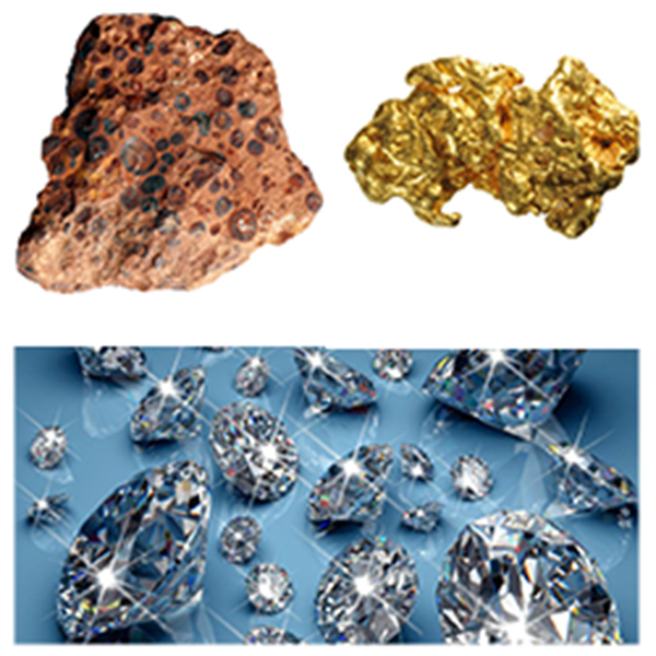 India - Guinea Business and Cultural Council - Business Opportunities in Guinea