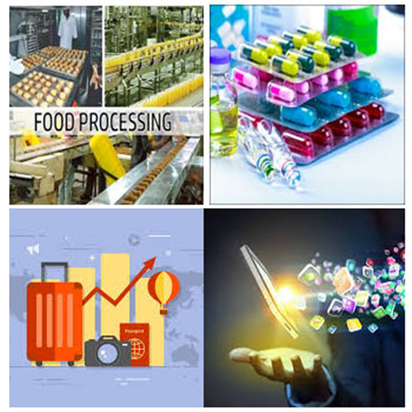 India - Hungary Business and Cultural Council - Business Opportunities in Hungary