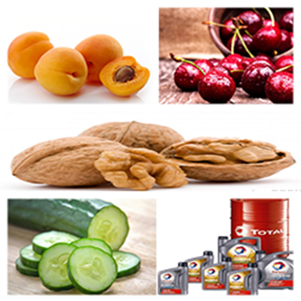 India - Iran Business and Cultural Council - Business Opportunities in Iran