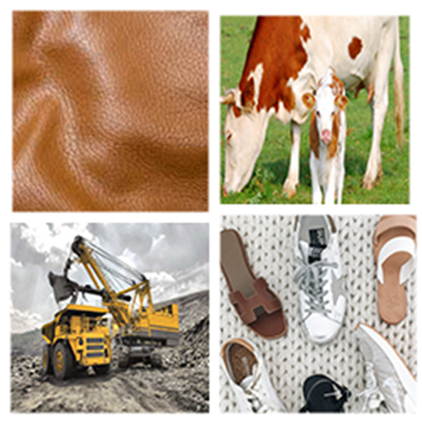 India - Lesotho Business and Cultural Council - Business Opportunities in lesotho