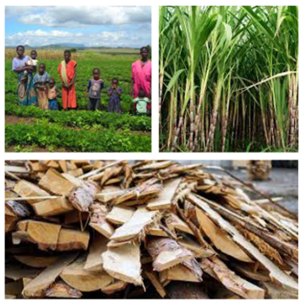 India - Malawi Business and Cultural Council - Business Opportunities in Malawi