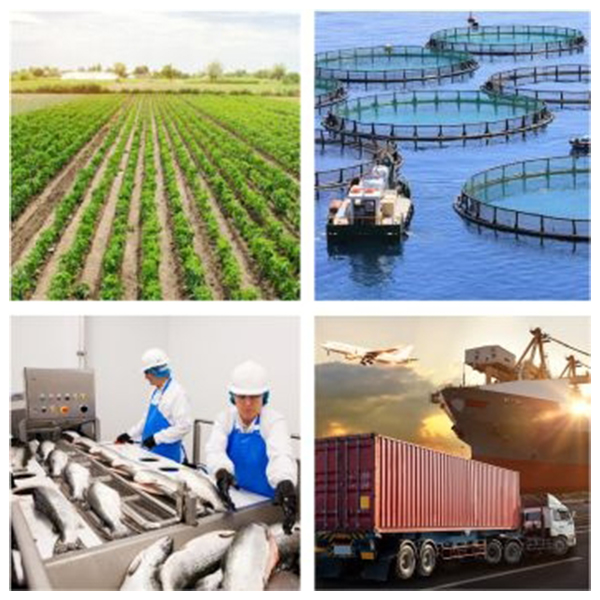 India - Somalia Business and Cultural Council - Business Opportunities in Somalia