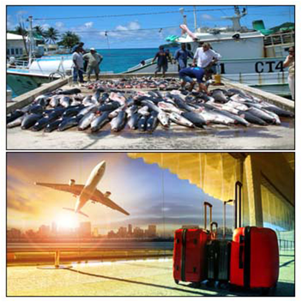 India - Palau Business and Cultural Council - Business Opportunities in Palau