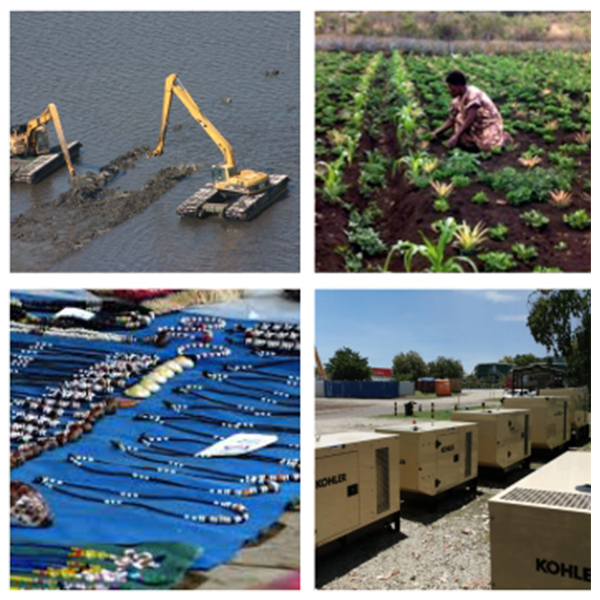 India - Papua New Guinea Business and Cultural Council - Business Opportunities in Papua New Guine