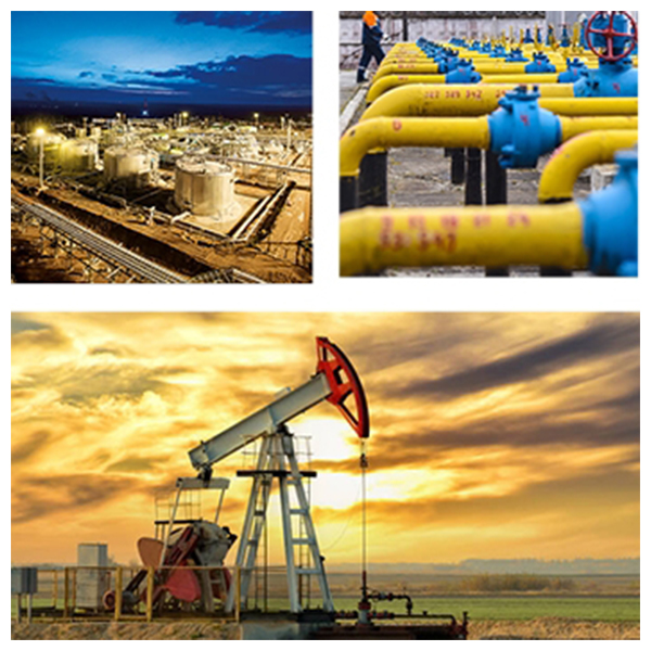 India - Russia Business and Cultural Council - Business Opportunities in Russia