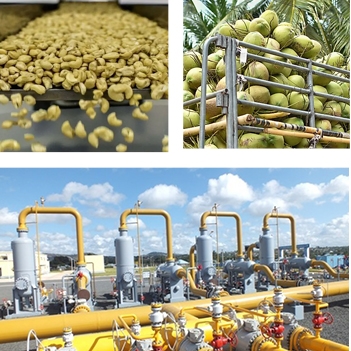 India - Tanzania Business and Cultural Council - Business Opportunities in Tanzania