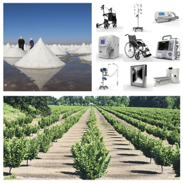 India - Turkey Business and Cultural Council - Business Opportunities in Turkey