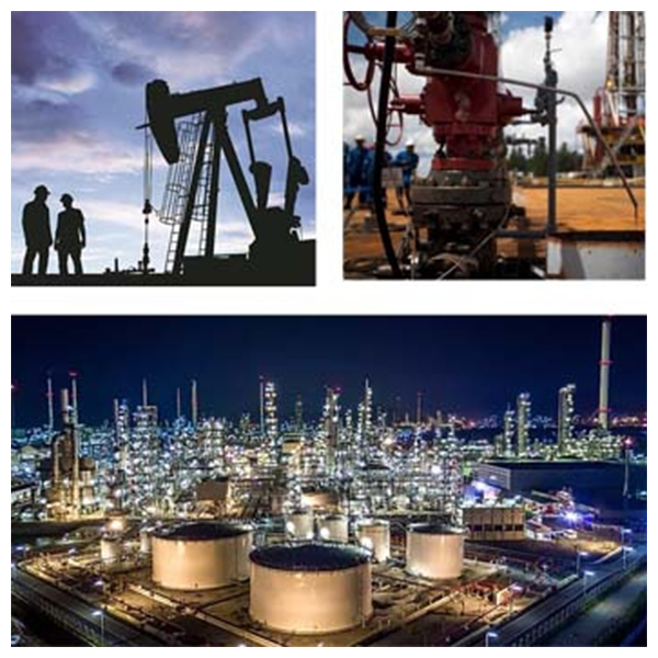 India - Venezuela Business and Cultural Council - Business Opportunities in Venezuela