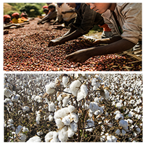 India - Afghanistan Business and Cultural Council - Top Imports Of Afghanistan