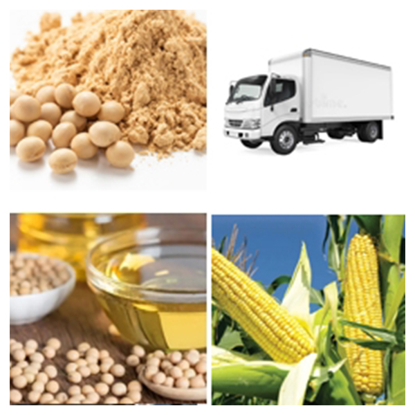 India - Argentina Business and Cultural Council - Top Exports Of Argentina