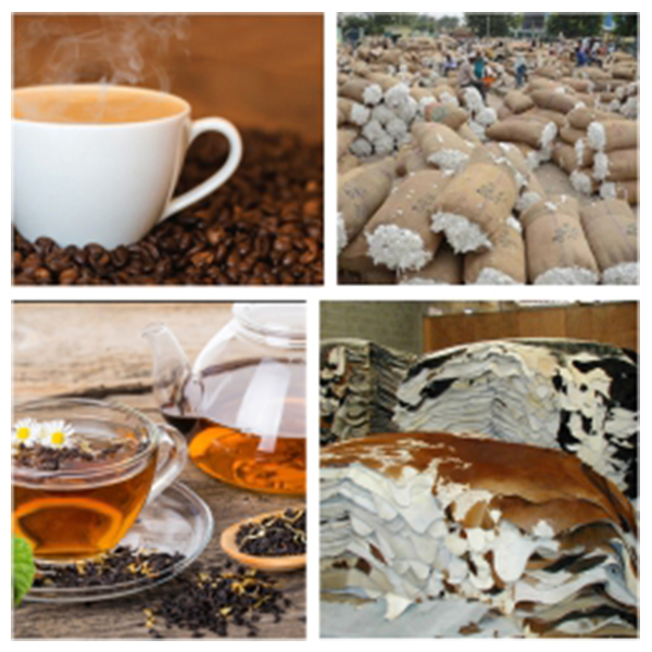 India Burundi Business and Cultural Council - Top Exports of  Burundi