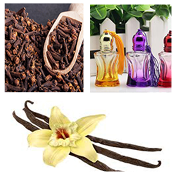 India Comoros Business and Cultural Council - Top Exports of Comoros