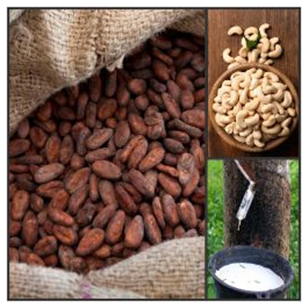 India - Côte d'Ivoire Business and Cultural Council -  Top Exports of Côte d'Ivoire