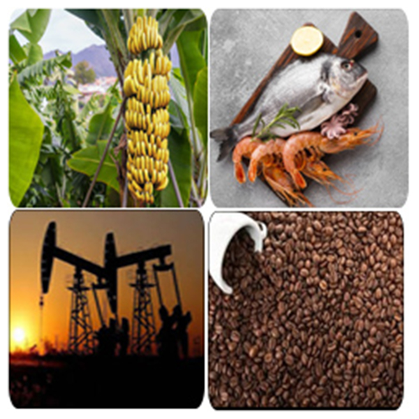 India - Guatemala Business and Cultural Council - Top Exports of Guatemala