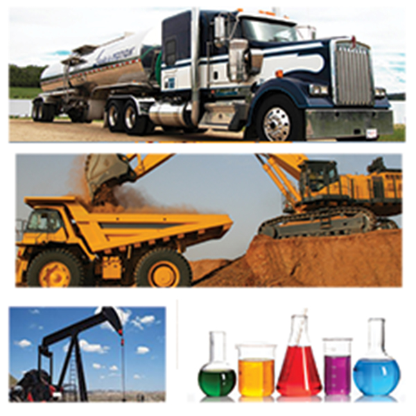 India - Dominican Republic Business and Cultural Council - Top Exports of Dominican Republic