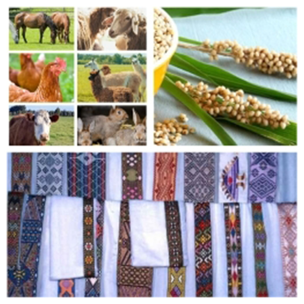 India - Eritrea Business and Cultural Council - Top Exports of Eritrea