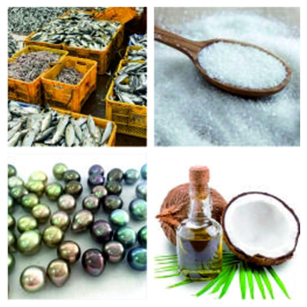 India - Fiji Business and Cultural Council - Top Exports of Fiji