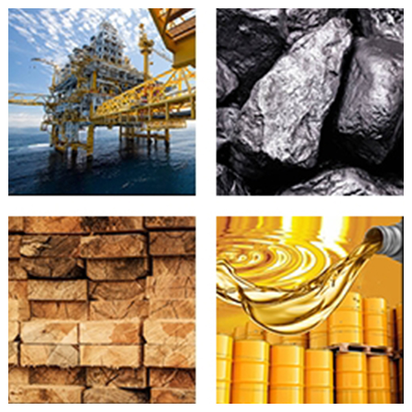 India - Gabon Business and Cultural Council - Top Exports of Gabon