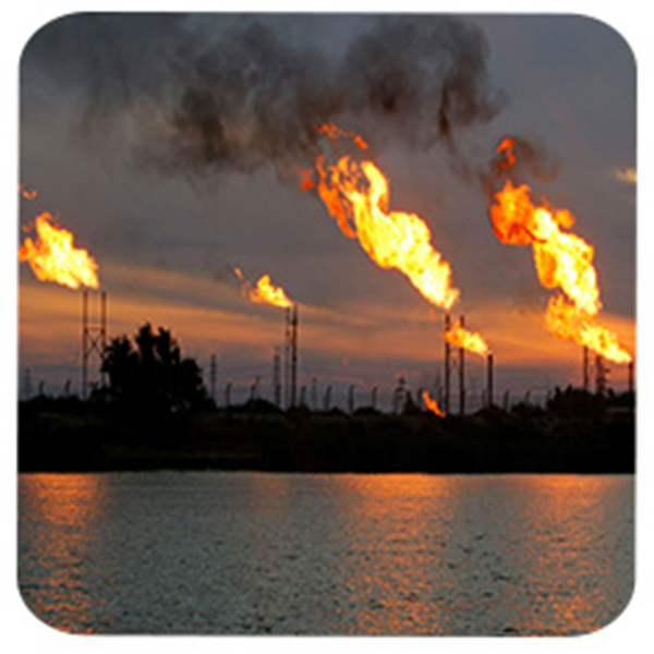 India - Iraq Business and Cultural Council - Top Exports of Iraq