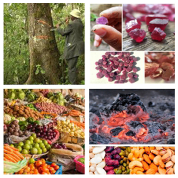 India - Kyrgyzstan Business and Cultural Council - Top Exports of Kyrgyzstan