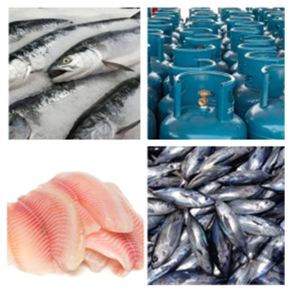 India - Maldives Business and Cultural Council - Top Exports of Maldives