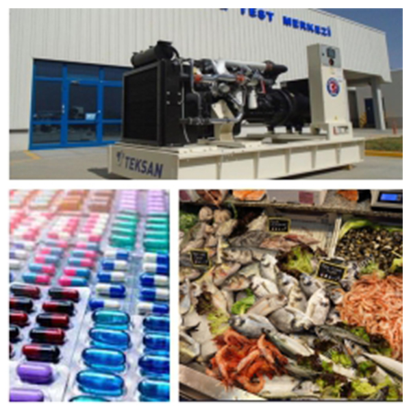 India - Malta Business and Cultural Council - Top Exports of Malta