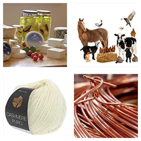 India - Mongolia Business and Cultural Council - Top Exports of Mongolia