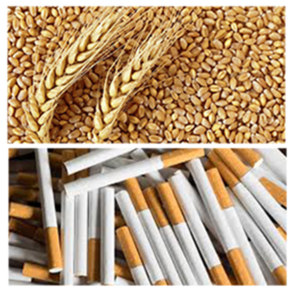 India - Azerbaijan Business and Cultural Council - Top Imports Of Azerbaijan