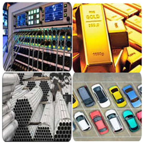 India - Somalia Business and Cultural Council - Top Exports of Somalia