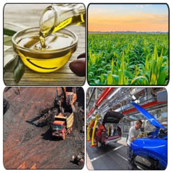 India - Mexico Business and Cultural Council -  Top Imports of Mexico